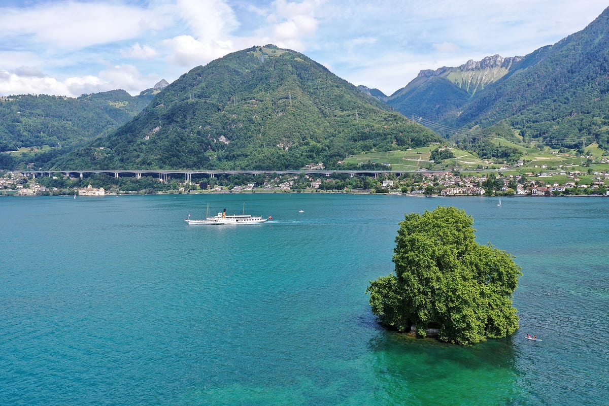 Île de Peilz